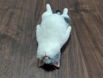 ＊obu＊ハンドメイド＊ 羊毛フェルト　猫 和猫 ごろ寝 サバトラ白猫 ねこ へそ天 爆睡 手のひらサイズ_画像1