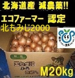 【エコファーマー農家直送】北海道産 玉ねぎ Mサイズ 20kg (北もみじ2000) 