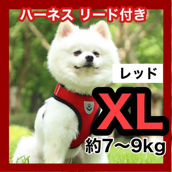 XL レッド 赤 リード付きハーネス 散歩 首輪 胴輪 ペット メッシュ 犬猫兼用