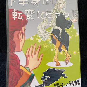 下半身だけ転変しちゃった（十二国記 同人誌）