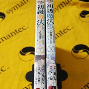 初級魔法しか使えず、火力が足りないので(略) 1-2 (ガンガンコミックスUP!) 片山 大樹 画
