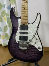 SCHECTER SD DX 24 AS シェクター ステンレスフレット EMG_画像2