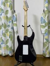 SCHECTER SD DX 24 AS シェクター ステンレスフレット EMG_画像4