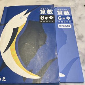 四谷大塚 予習シリーズ算数　6年下　難関校対策