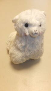 ★ArPakasso★Plash toy　Alpaca アルパカぬいぐるみ USED IN JAPAN