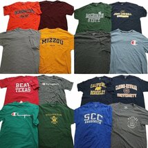 古着卸 まとめ売り チャンピオン 半袖Tシャツ 16枚セット (メンズ L /XL ) カラー系 ワンポイント TS14 MR5567 1円スタート_画像1