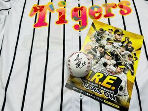 「A.R.E. GOES ON」SPRING CAMP 2024 阪神タイガース 岩崎優選手♯13 直筆サインボール キャンプロゴボール