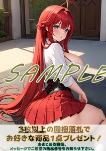 3849 リアスグレモリー ハイスクールD×D ハイスク DD A4 同人 イラスト 美少女 コスプレ アニメ イラストアートポスター セクシーアート