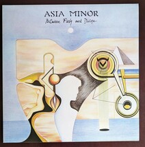 Asia Minor / Between Flesh And Divine フランス盤　LP　（1989年・FGBG 2024）　プログレ_画像1