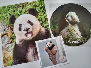 シャンシャン パンダ自身 完売品 大ステッカー ① 上野動物園 特典 生写真 パンダ