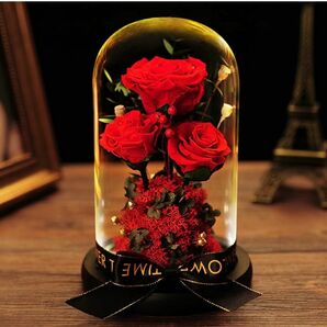 プリザーブドフラワー プレゼント 母の日 永遠の花 バラ ギフト ガラスドーム
