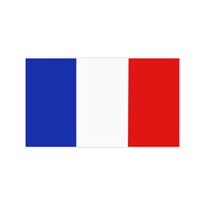 国旗◆メール100円◆ フランス　中 PP素材,耐水 東洋マーク ステッカー 1249