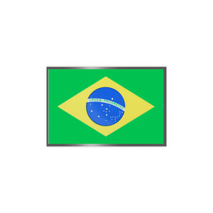 国旗◆メール100円◆ ブラジル 小 銀枠 PP素材,耐水 東洋マーク ステッカー 2434