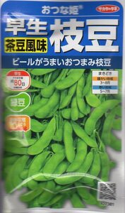 ●エダマメ●　茶豆風味　【おつな姫】　サカタのタネ