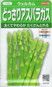 ●アスパラガス●　【ウェルカム】　サカタのタネ