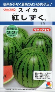 ●スイカ●　赤肉小玉　【紅しずく】　タキイ種苗