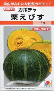 ●かぼちゃ●　【栗えびす】　タキイ種苗