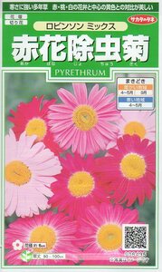 ◆赤花除虫菊◆　【ロビンソンミックス】　サカタのタネ