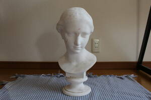 ジャンク品　石膏像　西洋彫刻　胸像　頭像　女性　ヴィーナス？　デッサン 美術教材　オブジェ　置物