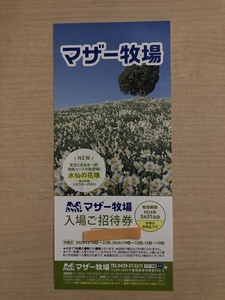 □ マザー牧場 入場ご招待券 有効期限2024年3/31 □1~9枚