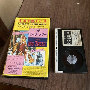 希少 ベータ版 THE BIG TREES ザ ビッグ ツリー 監督 フェリックス・フェイスト / カーク・ダグラス パトリース・ウェイモア エバ・ミラー