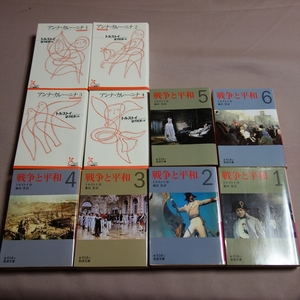 文庫 全て揃 戦争と平和 1-6 アンナ・カレーニナ 1-4 トルストイ 岩波文庫 光文社 古典新訳文庫
