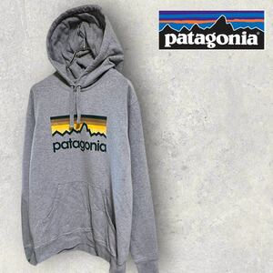 【レア】パタゴニア　パーカー　フーディ　日本未発売品　メンズ　Patagonia