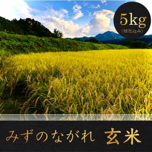 【品質保証】玄米 5kg コシヒカリ お米 米 群馬県産 高級米