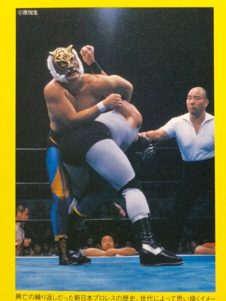 『俺のプロレス Vol.2』 ☆全128ページ☆ アントニオ猪木 前田日明 藤波辰爾 佐山サトル vs 小林邦昭(対談) 武藤敬司