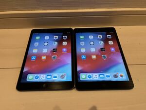 Appleアップル iPad mini 第2世代 A1489 2台セットWi-Fi モデル スペースグレイ 16GB