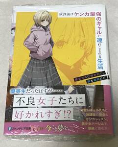 初版 未開封 放課後はケンカ最強のギャルに連れこまれる生活 1巻 ゲーマーズ限定 特典 リーフレット付 kakao 亜逸 即決