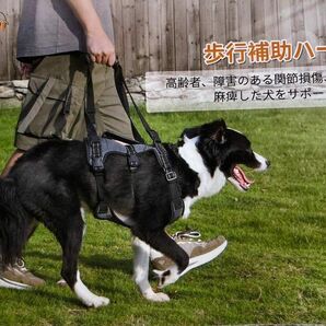 犬　LOOABNI　歩行補助ハーネス　Lサイズ