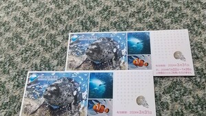 新江ノ島水族館　ご招待券　２枚　有効期限２０２４年３月３１日まで　【送料無料】