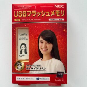 USBフラッシュメモリ　8GB（非売品）武井咲イラスト入り