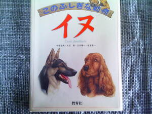 dog. book@ dog Kyoikusha that mystery . animal 1 pcs. store adjustment goods 