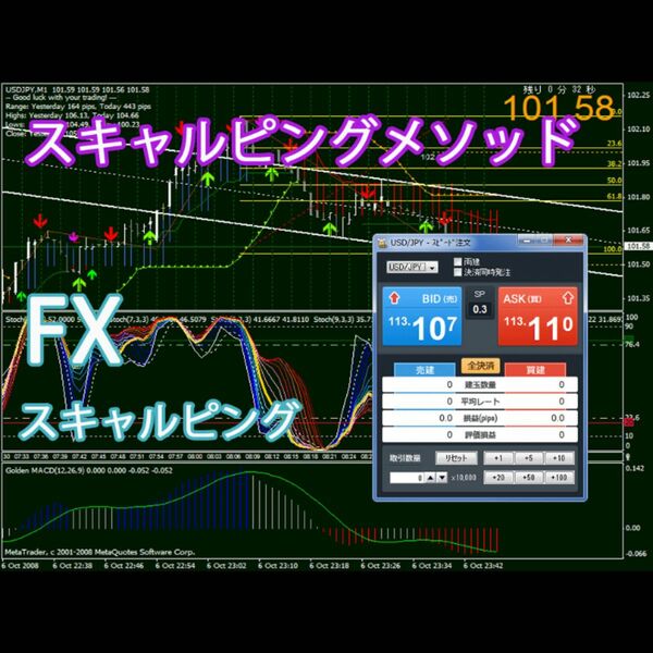 FX スキャルピングのメソッド 優良MT4 トレードツール、勝率80％ 日給10万円以上も可能 必勝法 デイトレード サインツール