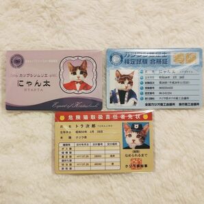 【No.N-003】なめ猫 なめんなよ カードコレクション2 3枚セット