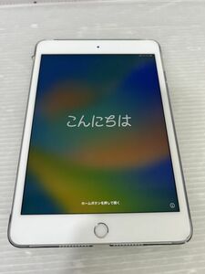 HH883-240227-108【美品】iPad mini 第5世代 Wi-Fi + Celluler セルラー 256GB 本体のみ 動作OK アイパッド Apple アップル カバー付き