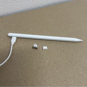 タッチペン iPad専用 磁気吸着 USB-C充電 交換ペン先2個付属 ホワイト