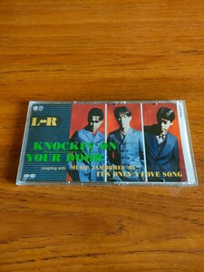 廃盤 8cm エルアール ノッキン・オン・ユア・ドア L⇔R KNOCKIN' ON YOUR DOOR 江口洋介 僕らに愛を! MUSIC JAMBOREE '95 岩しぶき