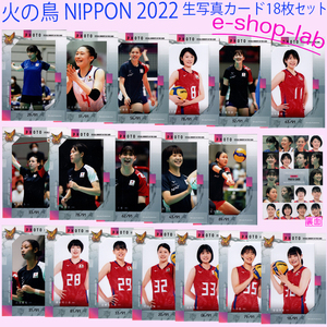 【お得セット】「火の鳥NIPPON 2022」生写真カード全18枚セット！