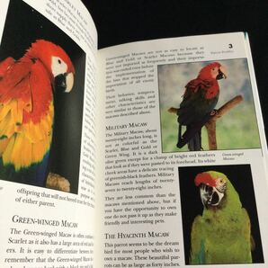 オウム 洋書 鳥類 英語 Parrot 鳥 Bird 図鑑 飼い方 ガイドブックの画像7