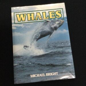 クジラ　写真集　洋書　鯨　Whales 英語　哺乳類　アニマル　動物　海　自然