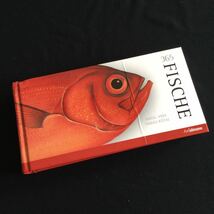 1P書込あり　魚　魚類　図鑑　洋書　ドイツ語　淡水魚　海水魚　Fish イラスト_画像1