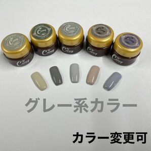 （カラー変更可 ）グレー系カラーセット　カラージェル ジェルネイル