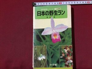 ｓ◆　昭和59年 初版第1刷　自然観察シリーズ 19 生態編　日本の野生ラン　神田淳　小学館　昭和レトロ　当時物　/ N31