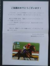 ◆リバティアイランド 抽プレ 最新 新品 美品 未使用 クオカード QUOカード 2024年 競馬ブック カレンダー 抽選 プレゼント当選品 JRA 競馬_画像4