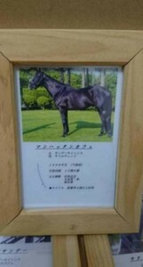 マンハッタンカフェ　一本 たてがみ 非売品　チャリティー ウマ娘 風水 御守り 競馬 当選品　シャケトラ　ルージュバック 