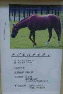 アグネスタキオン　一本 たてがみ 非売品　チャリティー ウマ娘 風水 御守り 競馬 当選品 