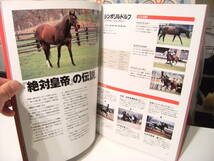 廃版★レトロ★1996年 Blood Successors ブラッドサクセサーズ 血を継ぐ馬たち 本★競馬 トウカイテイオー メジロティターン 日本ダービー _画像3